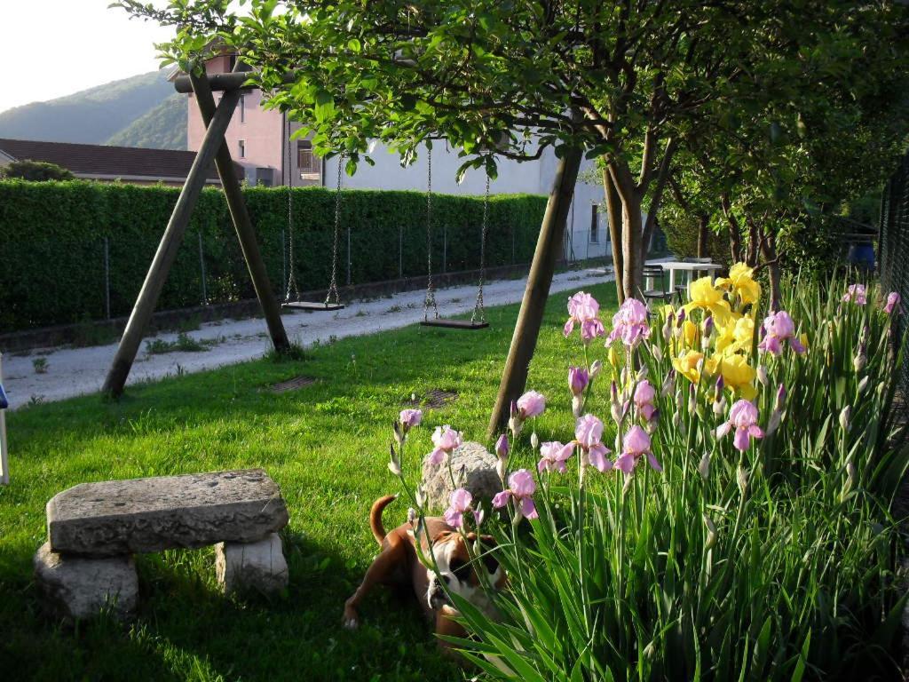 B&B Casa Francesca Alano Di Piave Exteriör bild